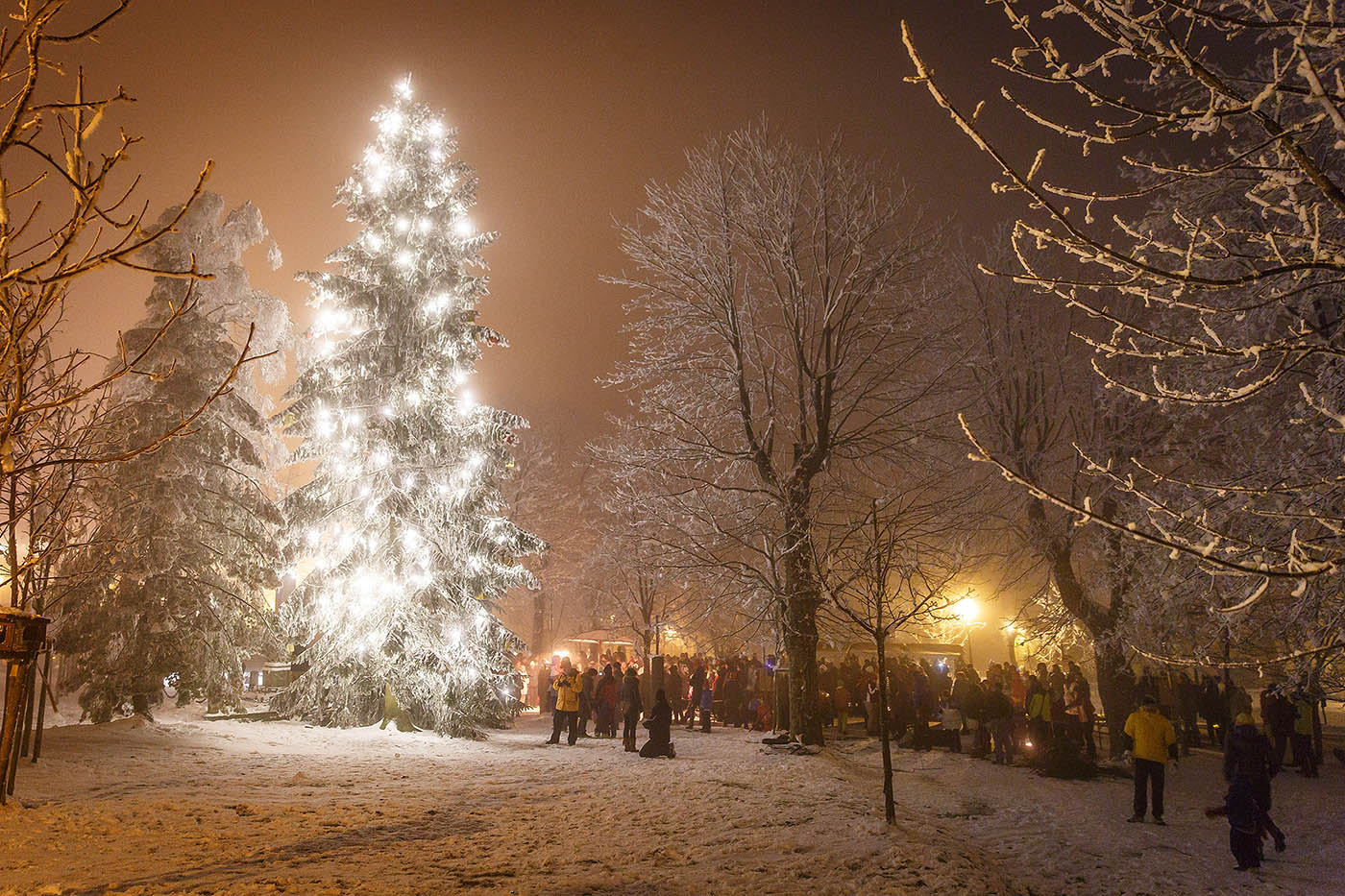 Společné rozsvícení vánočního stromu na Božím Daru